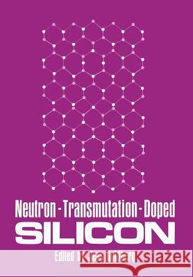 Neutron-Transmutation-Doped Silicon Jens Guldberg 9781461332633