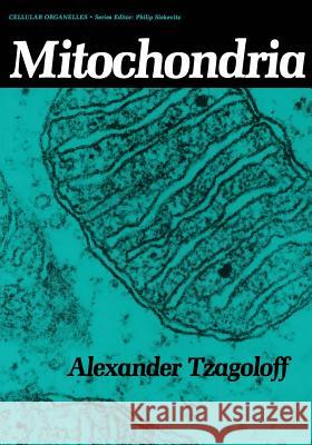 Mitochondria Alexander Tzagoloff 9781461332961 Springer
