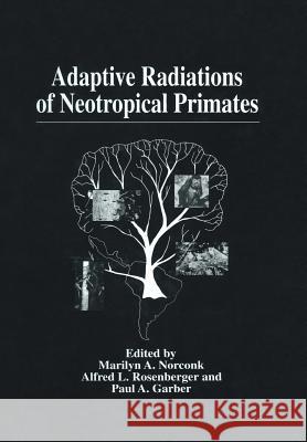 Adaptive Radiations of Neotropical Primates Marilyn A Alfred L Paul A 9781461346869 Springer