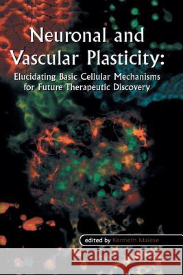 Neuronal and Vascular Plasticity: Elucidating Basic Cellular Mechanisms for Future Therapeutic Discovery Maiese, Kenneth 9781461350026 Springer