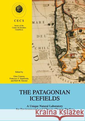 The Patagonian Icefields: A Unique Natural Laboratory for Environmental and Climate Change Studies Casassa, Gino 9781461351740 Springer