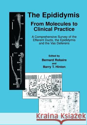 The Epididymis: From Molecules to Clinical Practice: A Comprehensive Survey of the Efferent Ducts, the Epididymis and the Vas Deferens Robaire, Bernard 9781461351917