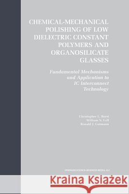 Chemical-Mechanical Polishing of Low Dielectric Constant Polymers and Organosilicate Glasses: Fundamental Mechanisms and Application to IC Interconnec Borst, Christopher Lyle 9781461354246 Springer