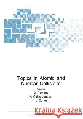 Topics in Atomic and Nuclear Collisions B. Remaud A. Calboreanu V. Zoran 9781461360322 Springer