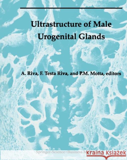 Ultrastructure of the Male Urogenital Glands: Prostate, Seminal Vesicles, Urethral, and Bulbourethral Glands Riva, Allessandro 9781461361251 Springer