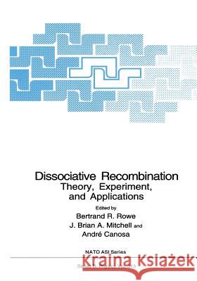 Dissociative Recombination: Theory, Experiment, and Applications Rowe, Bertrand R. 9781461362951 Springer