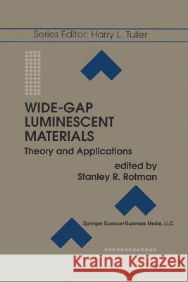 Wide-Gap Luminescent Materials: Theory and Applications Stanley R. Rotman 9781461368366 Springer