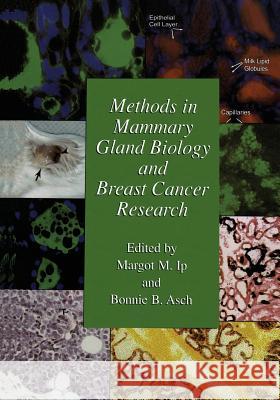 Methods in Mammary Gland Biology and Breast Cancer Research Margot M. Ip Bonnie B. Asch 9781461369271 Springer
