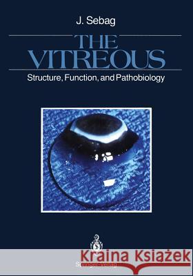 The Vitreous: Structure, Function, and Pathobiology Schepens, C. L. 9781461389101