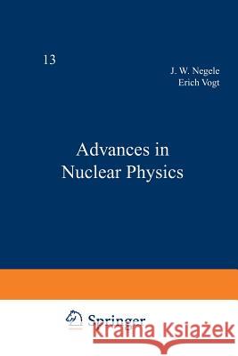 Advances in Nuclear Physics: Volume 13 Negele, John 9781461398943