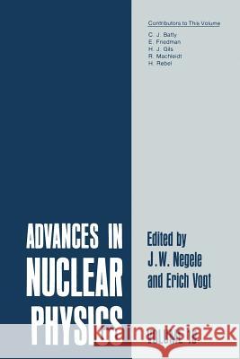 Advances in Nuclear Physics: Volume 19 Negele, J. W. 9781461399094