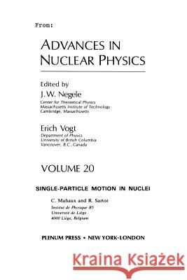 Advances in Nuclear Physics: Volume 20 Negele, J. W. 9781461399124