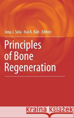 Principles of Bone Regeneration Jona Sela Itai Bab 9781461420583 Springer