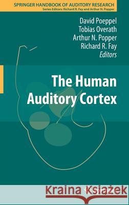 The Human Auditory Cortex David Poeppel 9781461423133 Springer, Berlin
