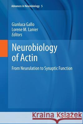 Neurobiology of Actin: From Neurulation to Synaptic Function Gallo, Gianluca 9781461427254 Springer