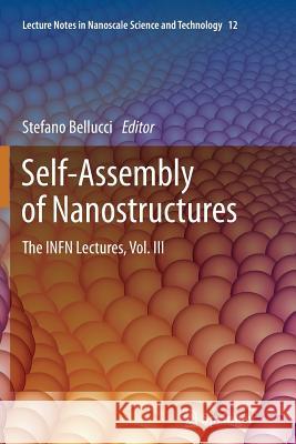 Self-Assembly of Nanostructures: The Infn Lectures, Vol. III Bellucci, Stefano 9781461430285