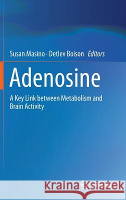 Adenosine: A Key Link Between Metabolism and Brain Activity Masino, Susan 9781461439028 Springer