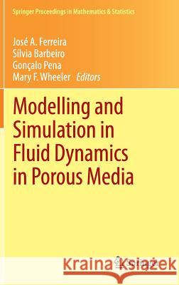 Modelling and Simulation in Fluid Dynamics in Porous Media Jos a. Ferreira S. Lvia Barbeiro Gon Alo Pena 9781461450542 Springer