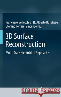 3D Surface Reconstruction: Multi-Scale Hierarchical Approaches Bellocchio, Francesco 9781461456315 Springer