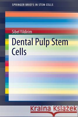 Dental Pulp Stem Cells Sibel Yildirim 9781461456865 Springer