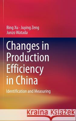 Changes in Production Efficiency in China: Identification and Measuring Xu, Bing 9781461477198 Springer