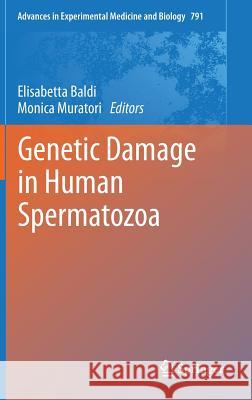 Genetic Damage in Human Spermatozoa Elisabetta Bald Monica Murator 9781461477822 Springer