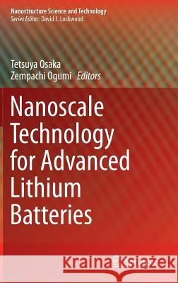 Nanoscale Technology for Advanced Lithium Batteries Tetsuya Osaka Zempachi Ogumi 9781461486749 Springer