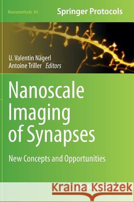 Nanoscale Imaging of Synapses: New Concepts and Opportunities Nägerl, U. Valentin 9781461491781 Humana Press