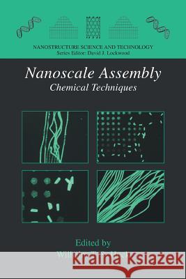 Nanoscale Assembly: Chemical Techniques Huck, Wilhelm T. S. 9781461498568 Springer