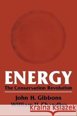 Energy: The Conservation Revolution Gibbons, John 9781461592112