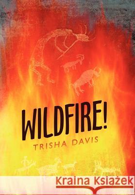 Wildfire! Trisha Davis 9781462016150
