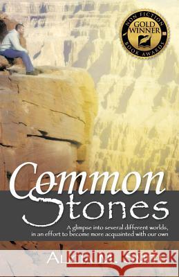Common Stones: A Glimpse into Several Different Worlds, in an Effort to Become More Acquainted with Our Own Alicia M Smith 9781462411641 Inspiring Voices