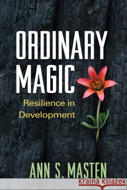 Ordinary Magic: Resilience in Development Ann S. Masten 9781462523719 Guilford Publications