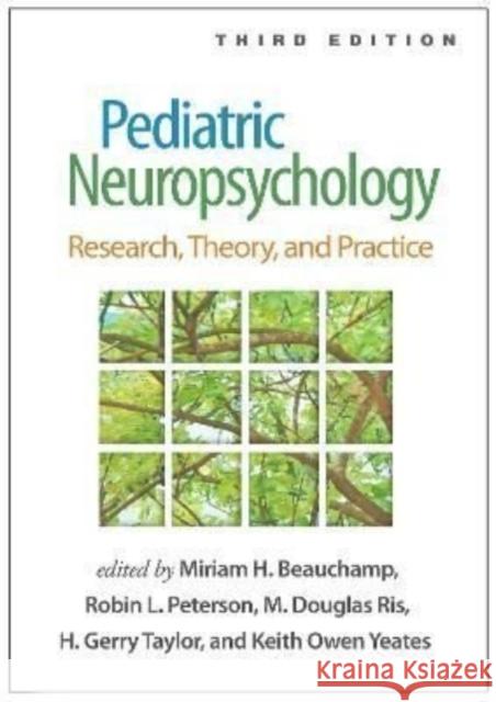 Pediatric Neuropsychology: Research, Theory, and Practice Beauchamp, Miriam H. 9781462549443 Guilford Publications