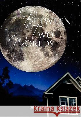 Between Two Worlds Gino Vallejo 9781462850181