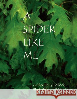 A Spider Like Me Terry Pollock 9781462867912