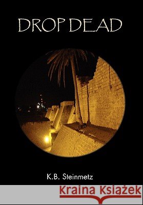 Drop Dead K. B. Steinmetz 9781462872756