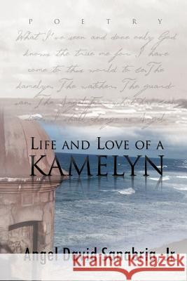 Life and Love of a Kamelyn Angel David Jr. Sanabria 9781462895366