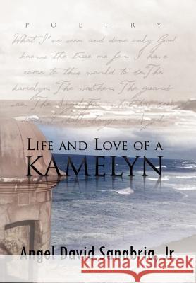 Life and Love of a Kamelyn Angel David Jr. Sanabria 9781462895373