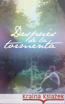 Despues de La Tormenta Rafael Valdovino 9781463363222 Palibrio