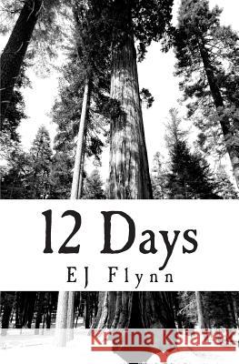 Twelve Days Ej Flynn 9781463548513 Createspace