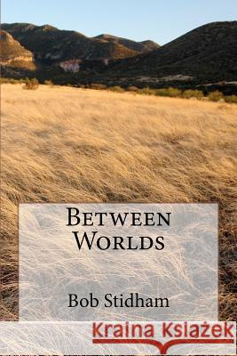 Between Worlds Bob G. Stidham 9781463631123