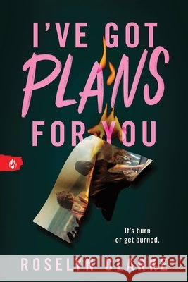 I've Got Plans for You Roselyn Clarke 9781464223518 Sourcebooks Fire