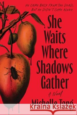 She Waits Where Shadows Gather Michelle Tang 9781464251047 Poisoned Pen Press