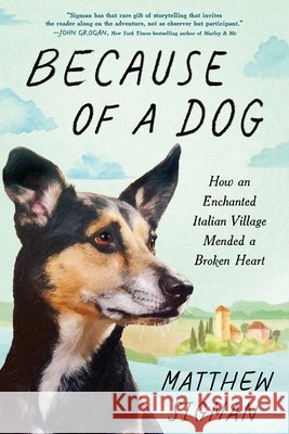 Because of a Dog: How an Enchanted Italian Village Mended a Broken Heart Matthew Sigman 9781464270178 Sourcebooks