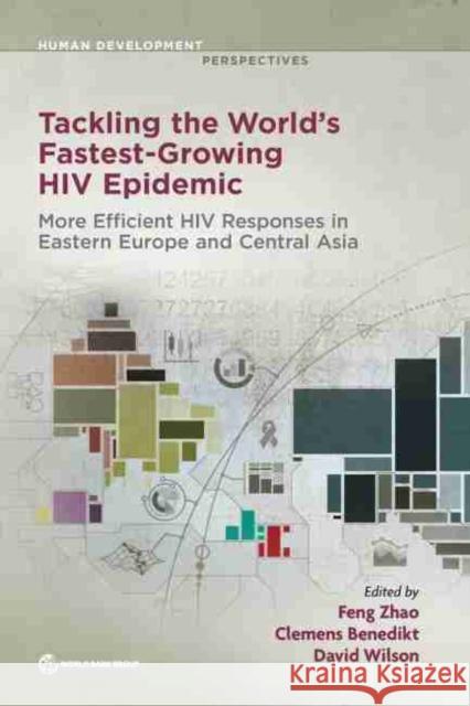Tackling the World's Fastest-Growing HIV Epidemic: More Efficient HIV Responses in Eastern Europe and Central Asia Zhao, Feng 9781464815232