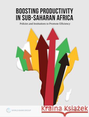Boosting Productivity in Sub-Saharan Africa: Policies and Institutions to Promote Efficiency Calderon, Cesar 9781464815508 World Bank Publications