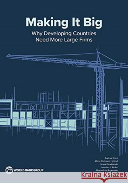 Large Firms in Development: Origins, Growth Paths, and Contributions The World Bank 9781464815577 World Bank Publications