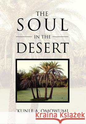 The Soul in the Desert Kunle A. Omowumi 9781465302045 Xlibris Corporation
