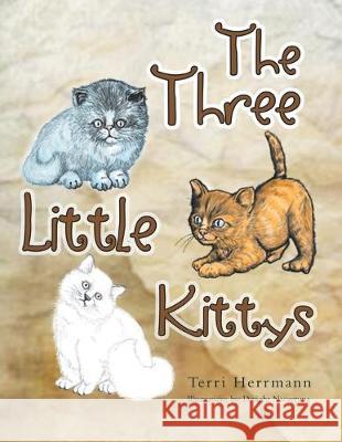 The Three Little Kittys Terri Herrmann, Dwight Nacaytuna 9781465339027 Xlibris Us